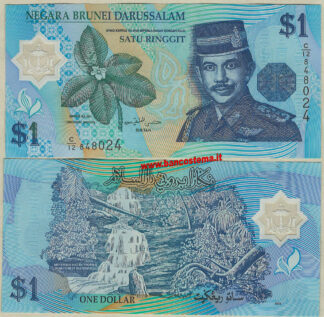 Brunei P22a 1 Dollar 1996 au polymer