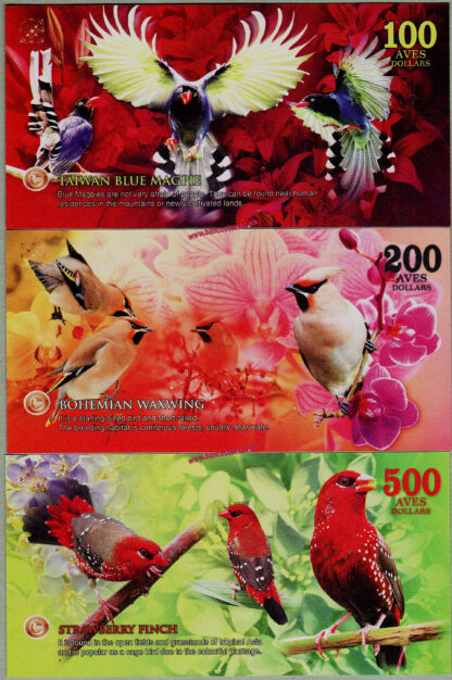 Banconote per collezionisti Atlantic Forest 100-200-500 aves dollars set 3 pz. June 2024 paper low nr unc rear